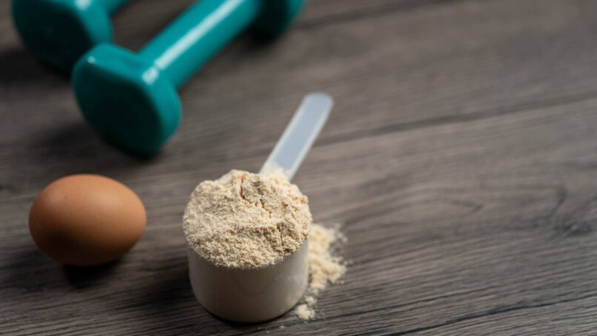 الغذاء والدواء: لا صحة لوجود معادن ثقيلة في منتجات البروتين المجازة رسميا بالأردن