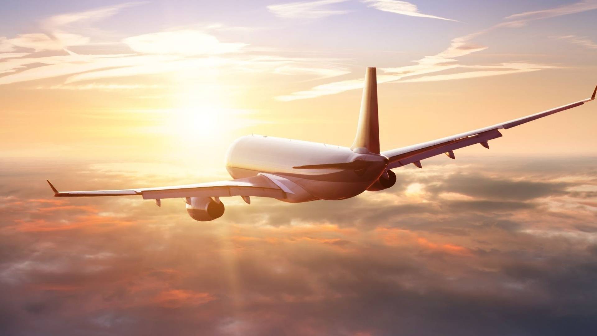 وصول طائرة عارضة فرنسية تقل 105 سائح إلى الأردن بدعم من هيئة تنشيط السياحة