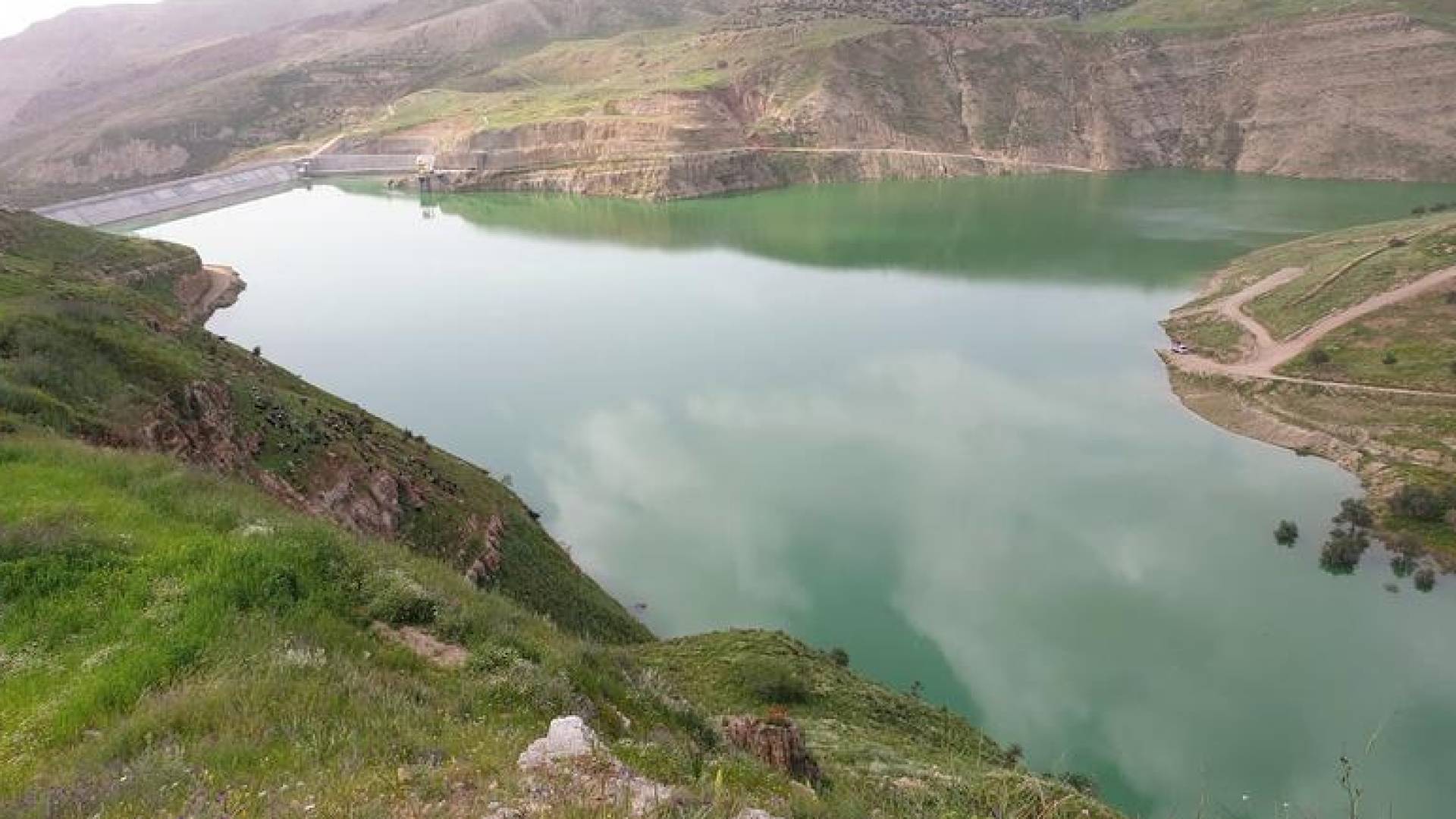 مشروع الناقل الوطني: قدرة إنتاجية تعادل سعة سدود المملكة و3 أضعاف مياه الديسي #عاجل 