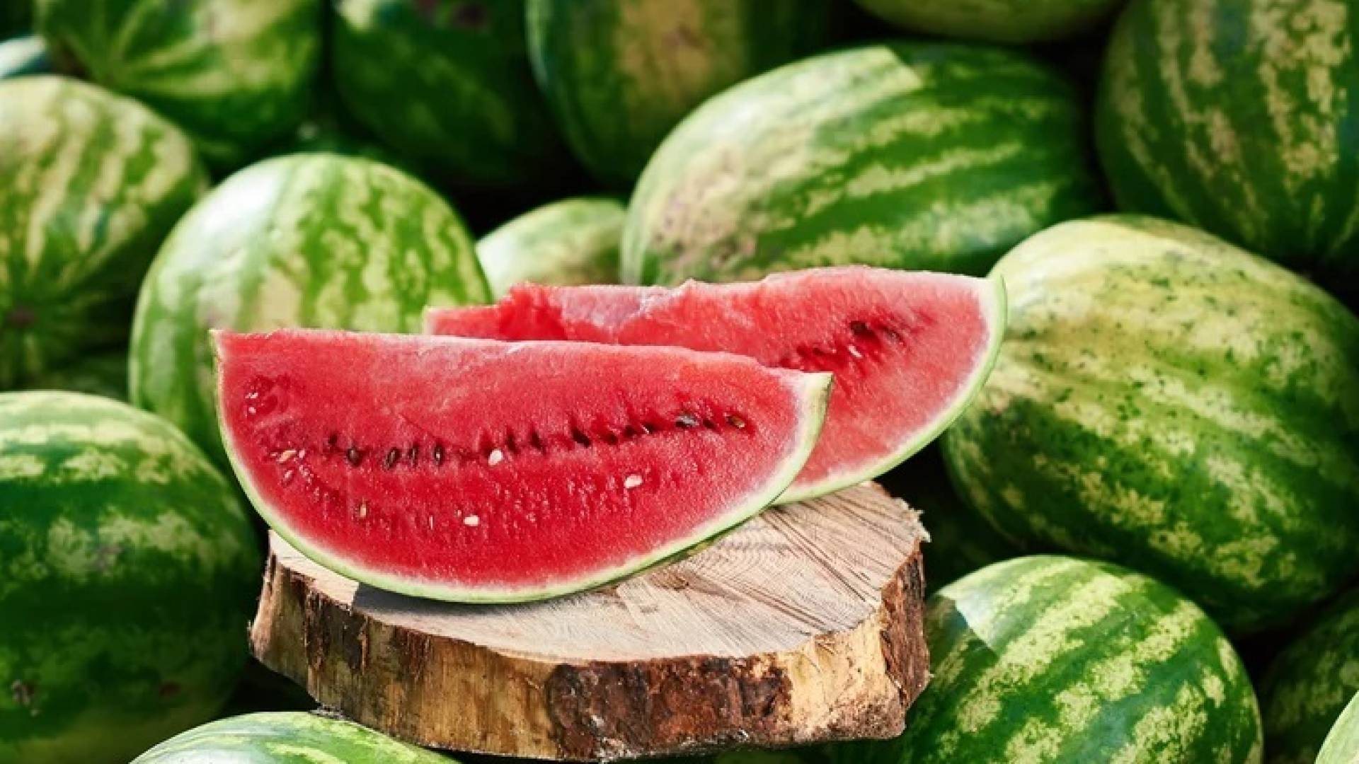 أبو الغنم: استقرار بأسعار الخضار والفواكه وتوقعات بانخفاض أسعار "البطيخ" خلال أيام