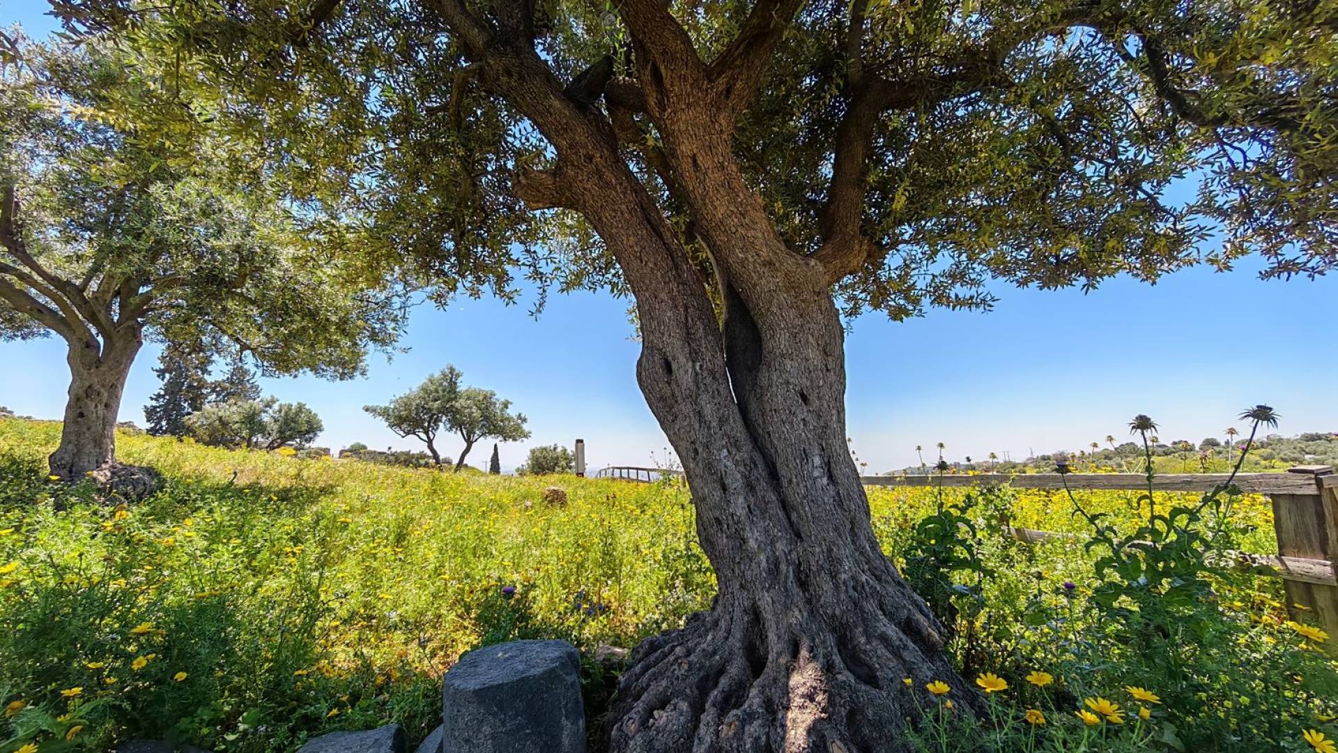 الأمن العام يدعو لـ "تنزه مسؤول" ويحذر من المخالفات البيئية في عطلة نهاية الأسبوع #عاجل 