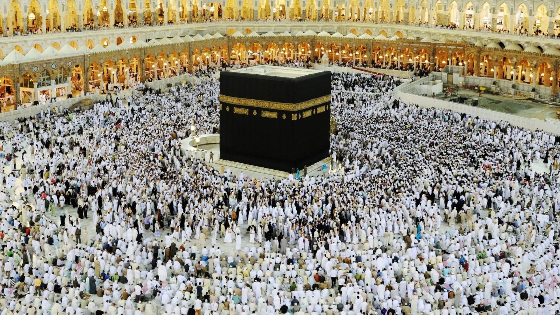 السعودية تعلن اشتراطات حج 1447 هـ وتفرض غرامات تصل إلى 100 ألف ريال على المخالفين