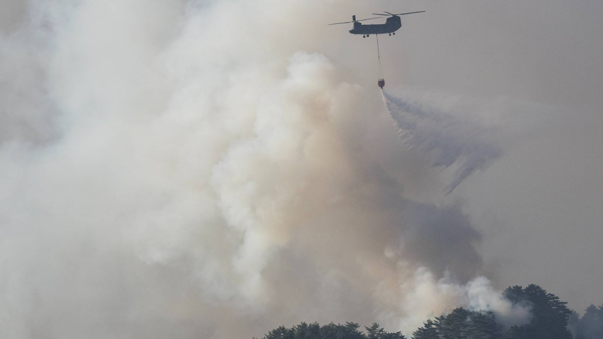 اليابان تستنفر 1400 إطفائي لإخماد حرائق الشمال.. والنيران تهدد بلدة "ناجية من تسونامي"