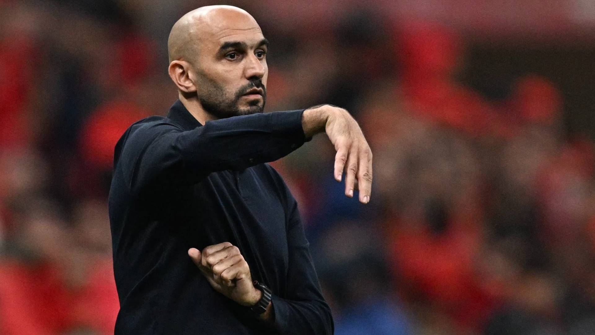 هل يصبح الركراكي أول مدرب عربي لريال مدريد الإسباني؟