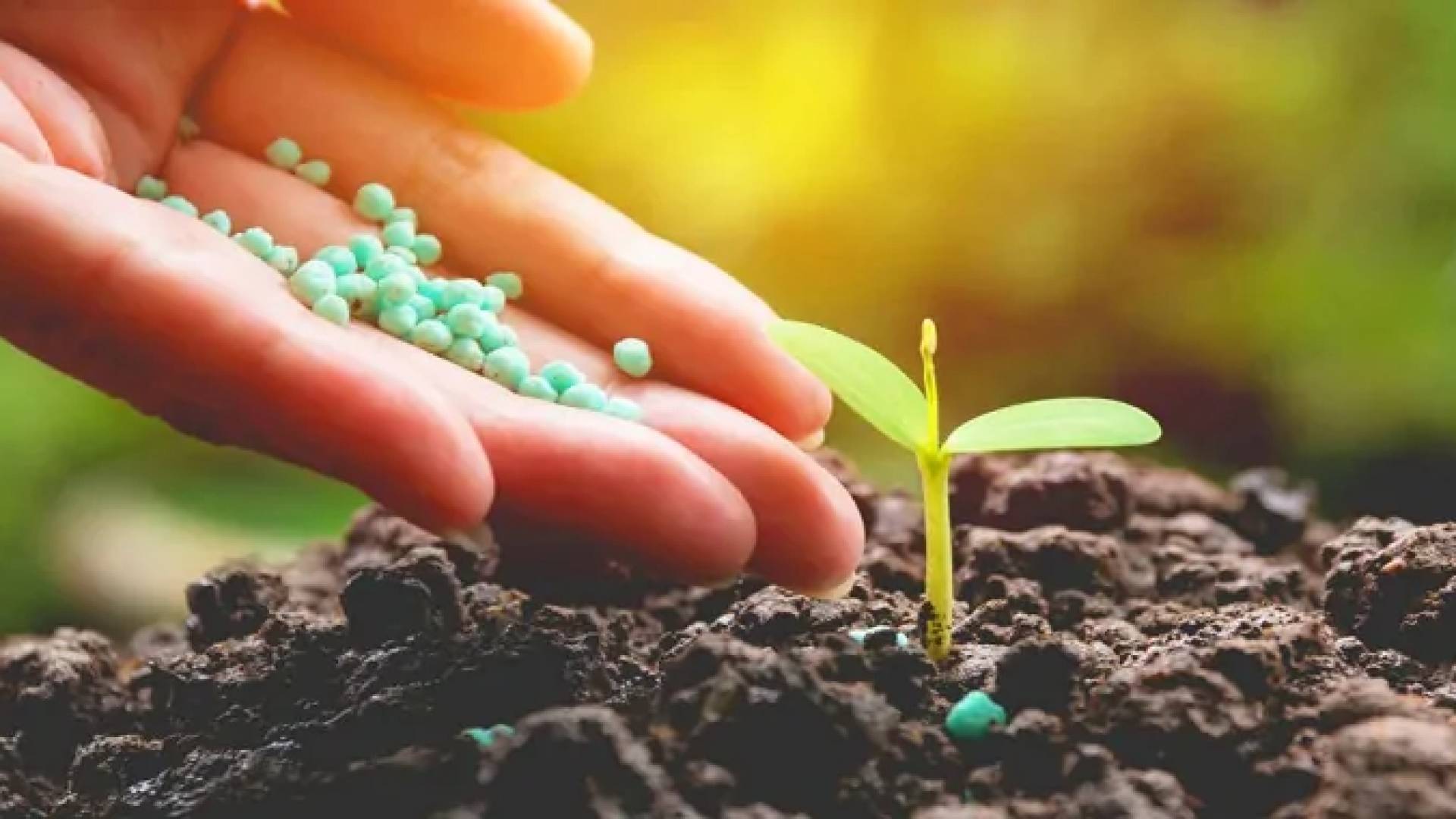 استثمار بمليار دولار: الأردن يخطو نحو إنتاج الأمونيا والهيدروجين الأخضر بحلول 2030