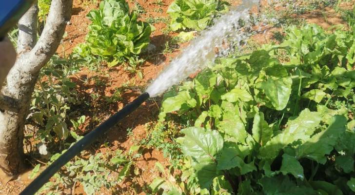 المياه : ضبط اعتداء في مناطق جنوب عمان