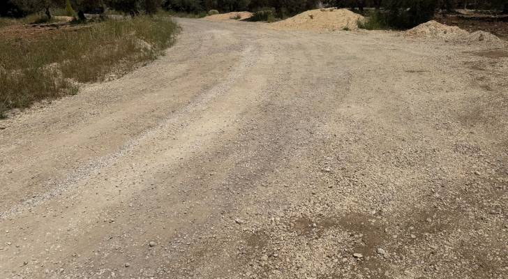 شارع فرعي في مرج الحمام