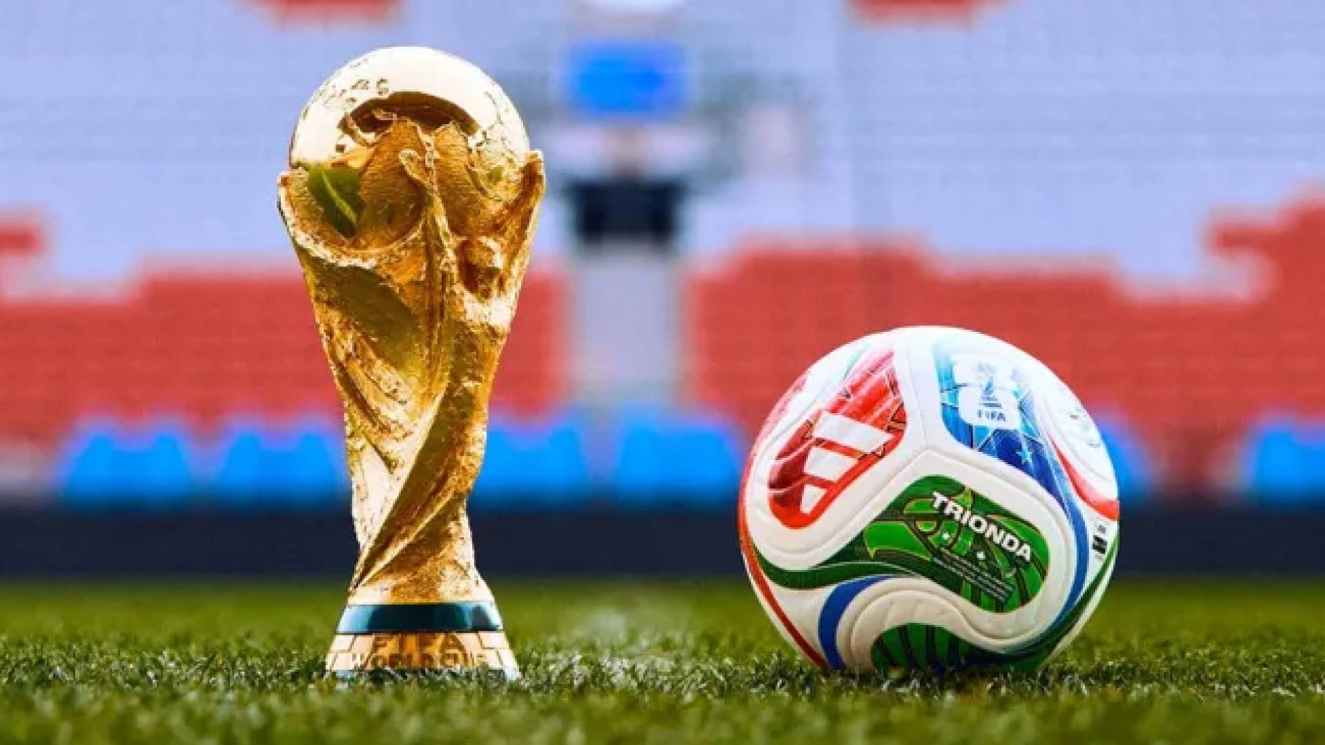 وزارة الشباب تخصص شاشات عملاقة لبث مباريات المنتخب الوطني في كأس العالم