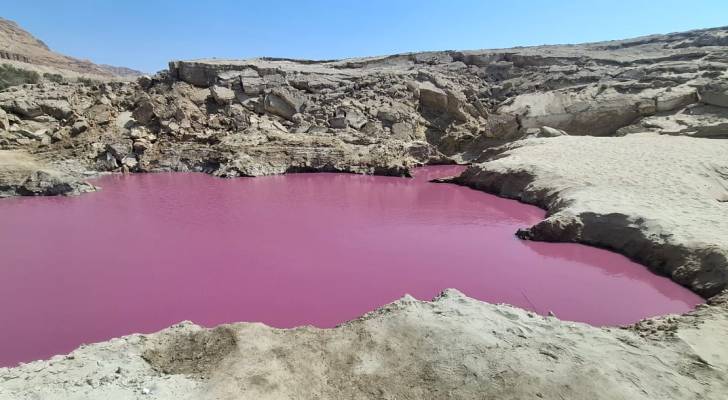البركة الحمراء في البحر الميت