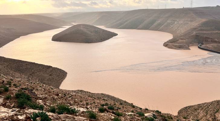 "الزراعة النيابية" تناقش الواقع المائي وتصويب الآبار المخالفة بمزارع الأزرق