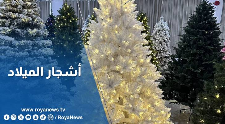 أشجار عيد الميلاد تشع بالمحبة في البلقاء ومادبا والزرقاء