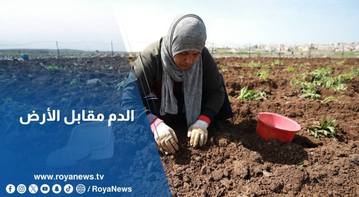 الدم .. ثمن فلاحة الأرض الفلسطينية