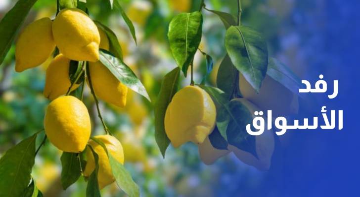 بعد ارتفاع الكيلو إلى 3.5 دينار..جمعية المصدرين تؤكد رفد الأسواق من الليمون بكميات خلال أيام