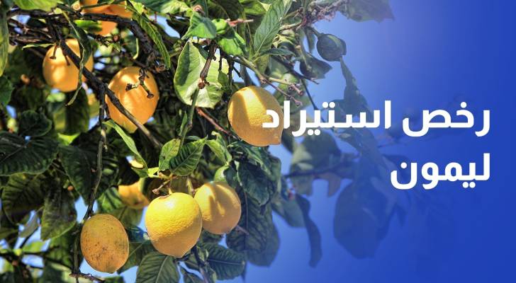الزراعة تمنح 110 تجار و"الأردنية الفلسطينية الزراعية" رخص استيراد الليمون