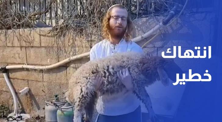 انتهاك خطير.. مستوطنون يحاولون ذبح قرابين في المسجد الأقصى