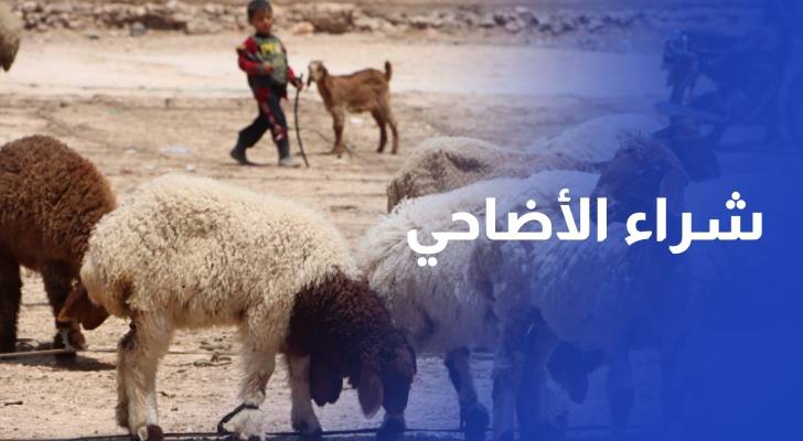 الظروف الاقتصادية تطغى على شراء الاضاحي في دول عربية