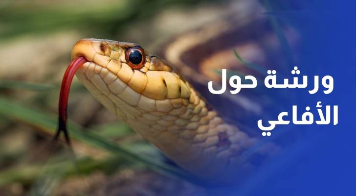 جمعية أصدقاء الحياة البرية تنظم ورشة توعوية حول الأفاعي