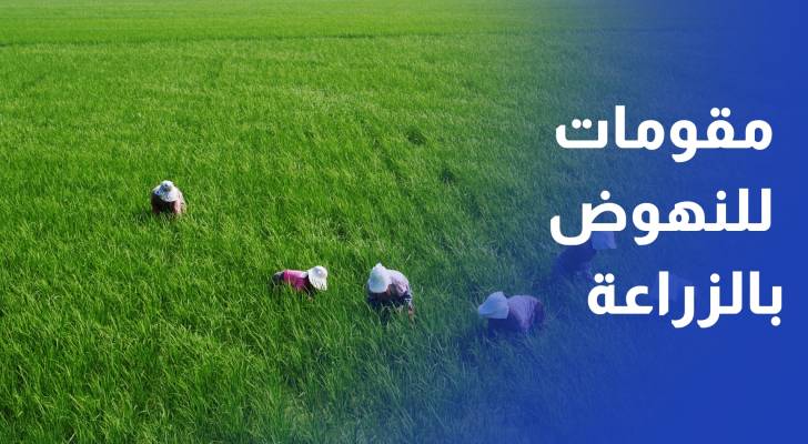 رؤية التحديث الاقتصادي خبراء يؤكدون امتلاك الأردن مقومات للنهوض بالزراعة والأمن الغذائي