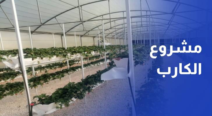إطلاق مشروع الكارب في الشوبك لتعزيز الإنتاج الزراعي المائي