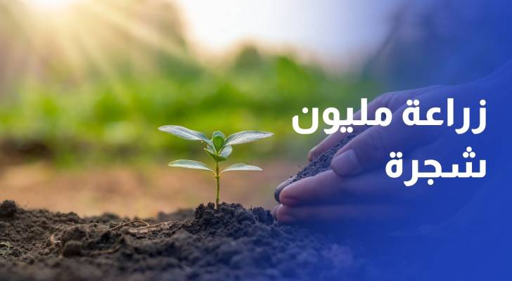 زراعة مليون شجرة خروب تمهد لتحويل إربد إلى قلب اقتصادي منتج
