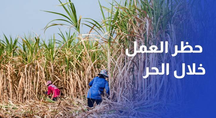 حظر العمل من 12 ظهرا حتى 4 عصرا لأعمال محددة خلال موجة الحر
