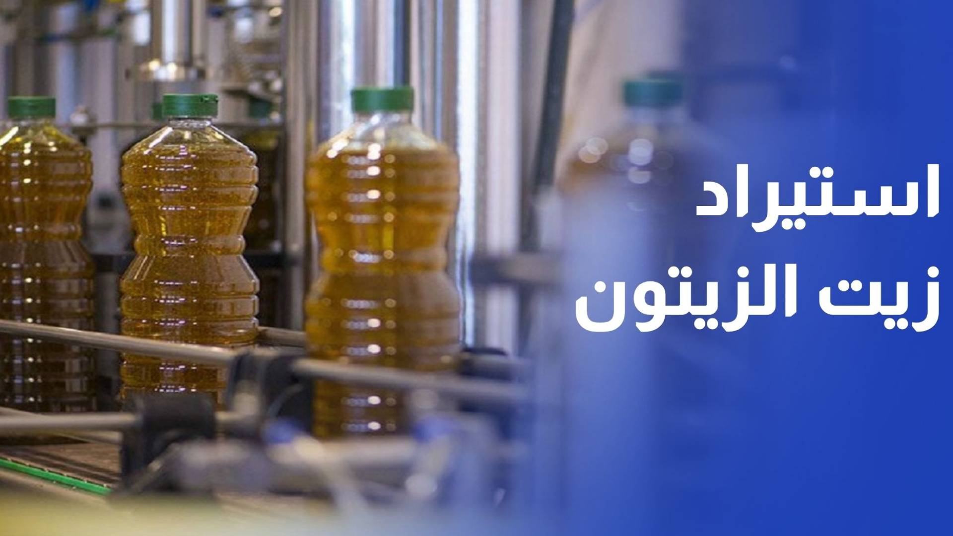 الزراعة تسمح باستيراد زيت الزيتون بشروط وأرقام الإحصاءات تؤكد تراجع الإنتاج