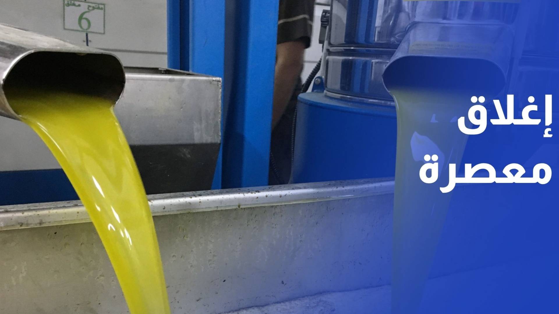 الغذاء والدواء تغلق معصرة زيت زيتون غير مرخصة بعد ضبط 80 تنكة مغشوشة