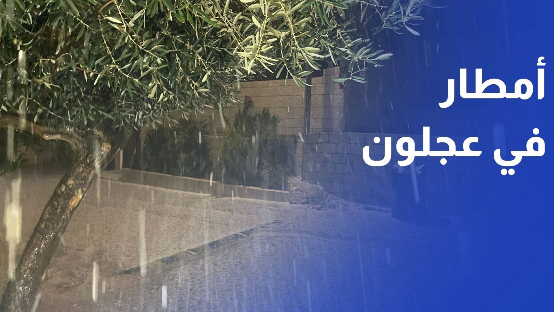 هطول للأمطار المصحوبة بالبرق والرعد في عجلون