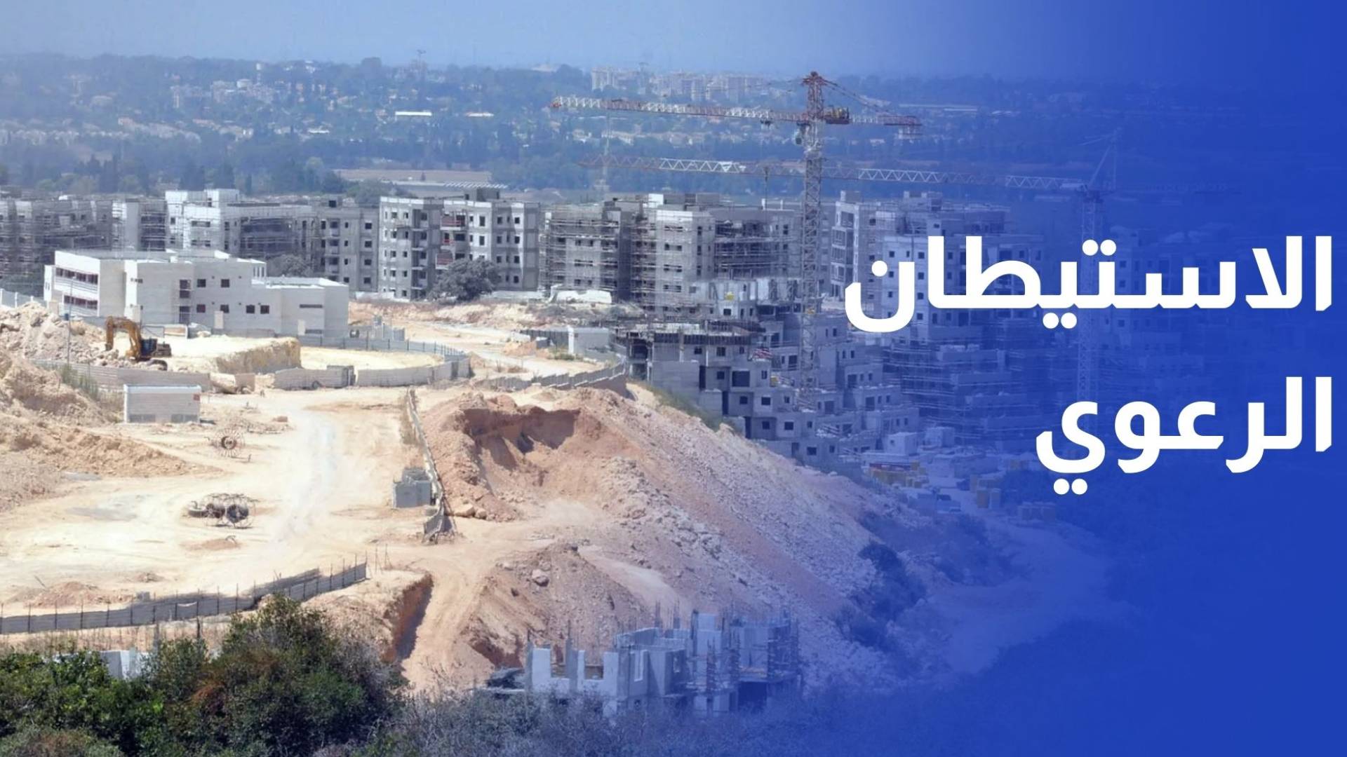 الاستيطان الرعوي.. سياسة الاحتلال لاستكمال الضم وفرض واقع سياسي وجغرافي