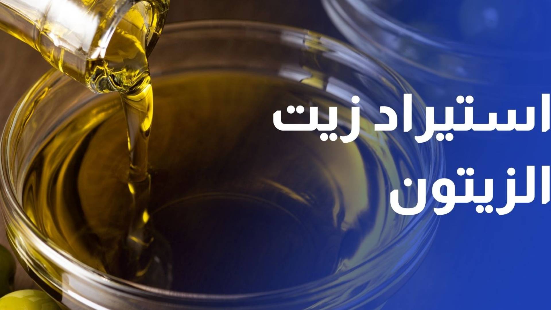 لتلبية احتياجات السوق.. الزراعة تبدأ استقبال طلبات استيراد الدفعة الثانية من زيت الزيتون