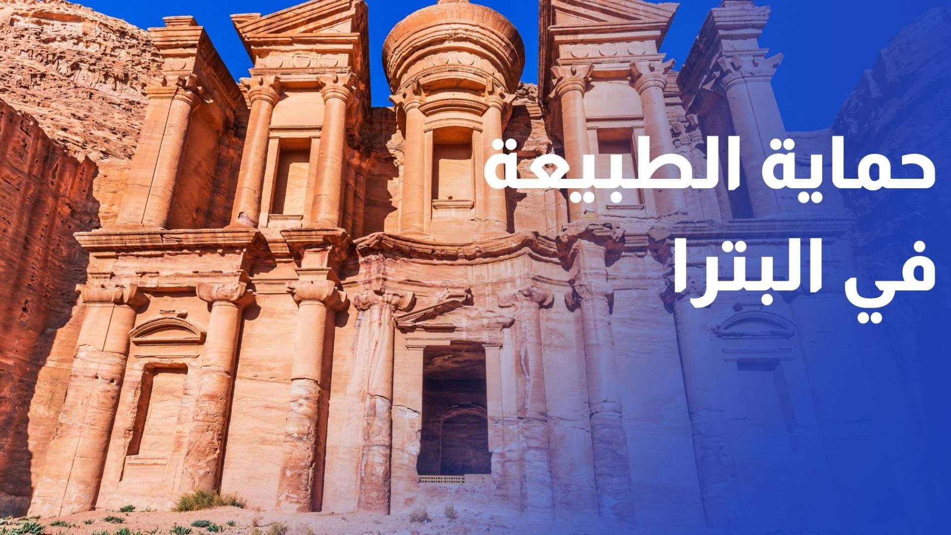 ضمن مشروع حماية الطبيعة في البترا .. زراعة شجر العرعر في موطنها الأصلي