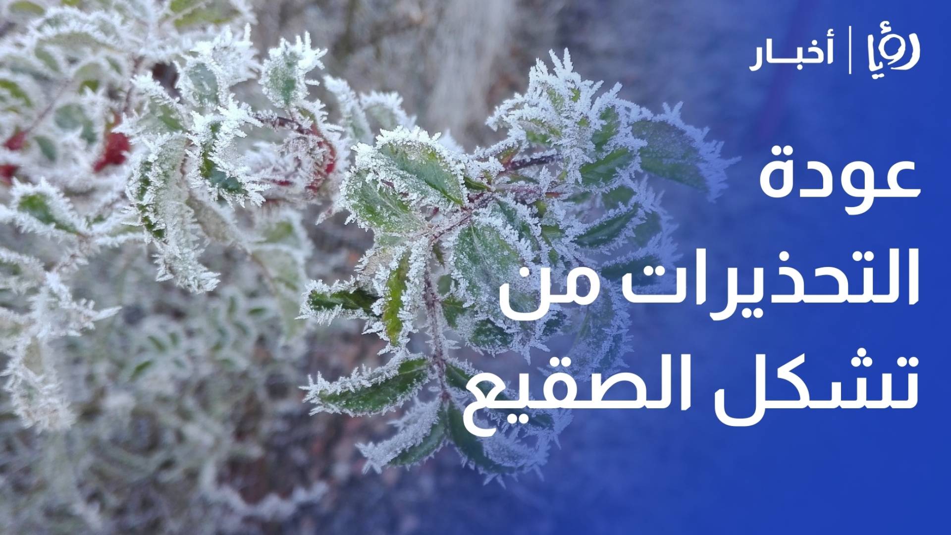 عودة التحذيرات من تشكل الصقيع… إرشادات لحماية المحاصيل الزراعية من الخسائر
