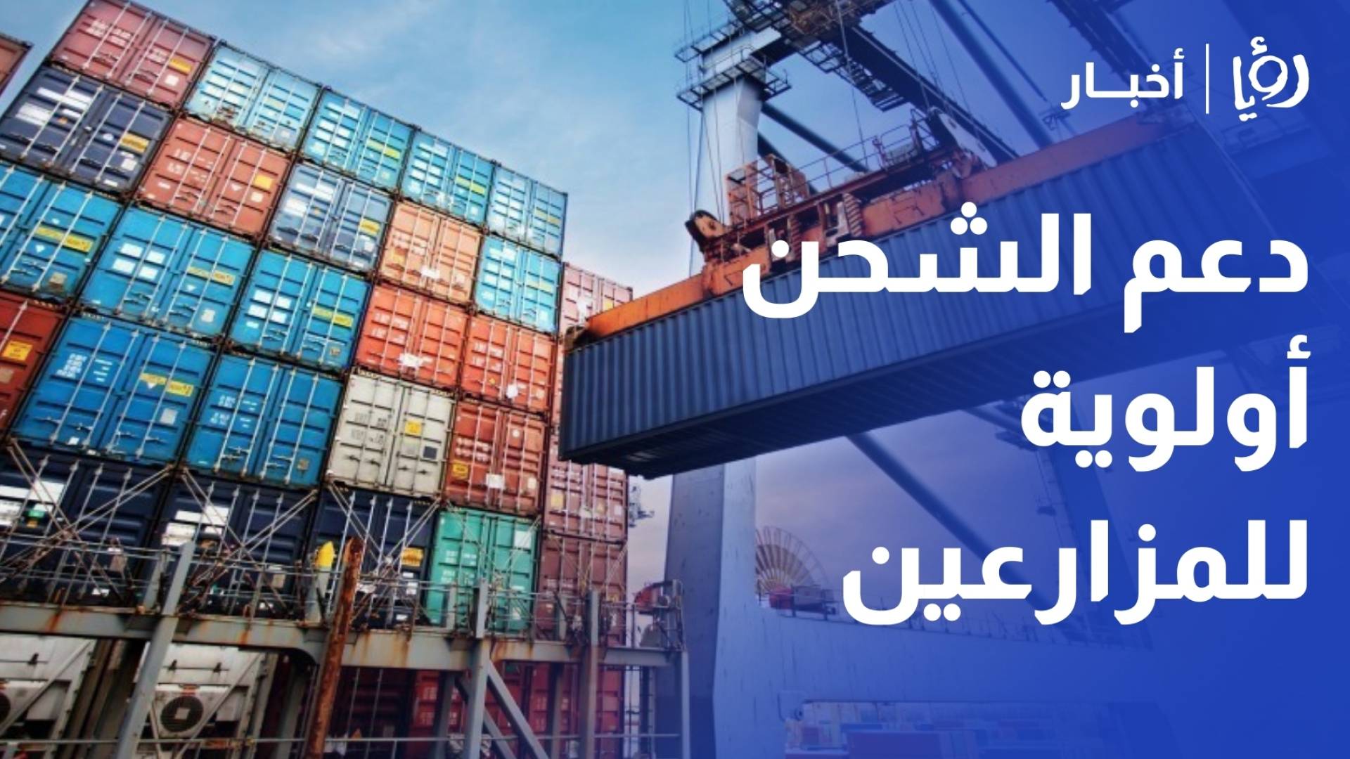 "الزراعة": دعم الشحن "أولوية".. وعوائد المزارعين هدفنا الأسمى