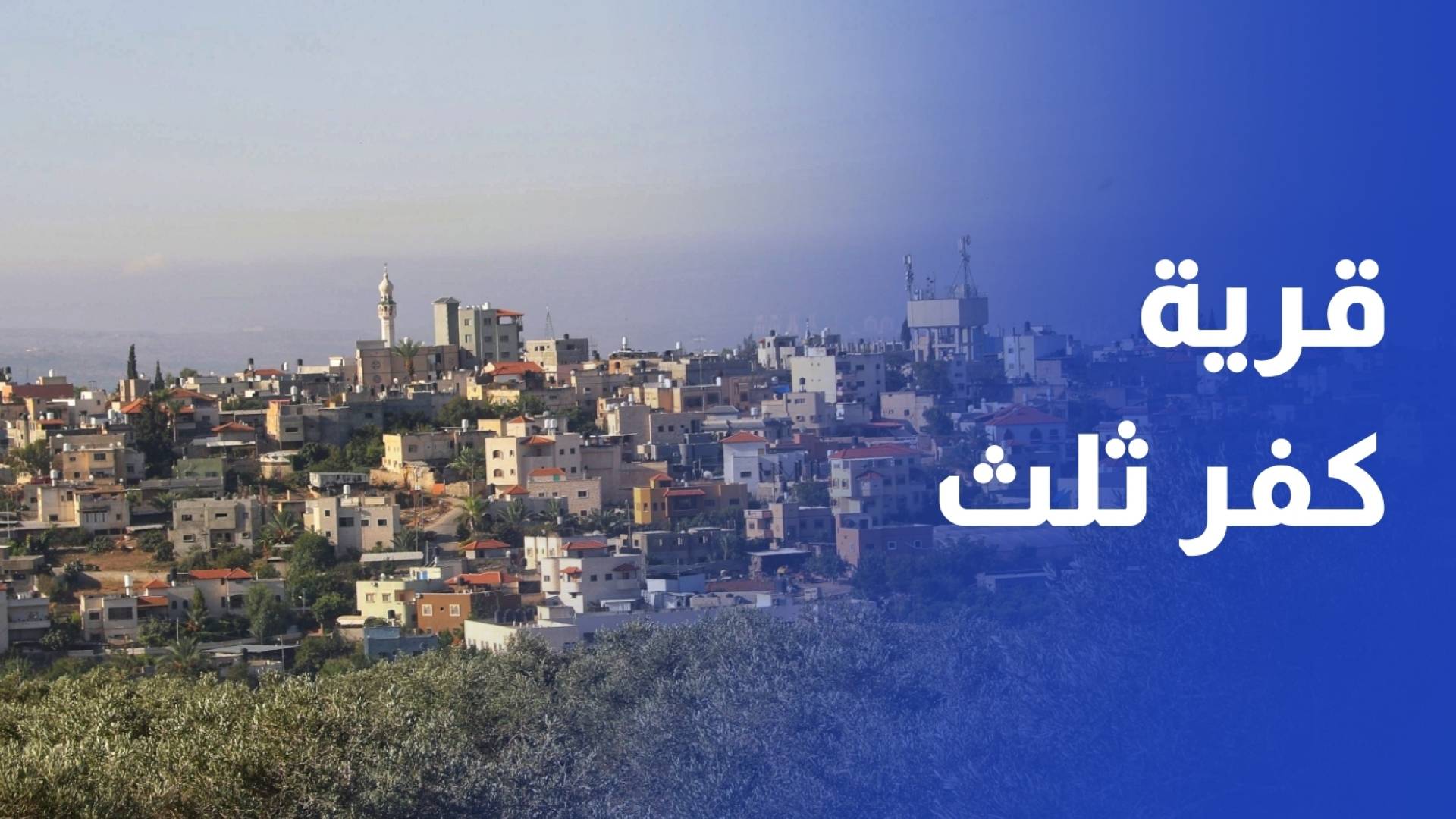 سلطات الاحتلال تصادر عشرات الدونمات في قرية كفر ثلث في قلقيلية