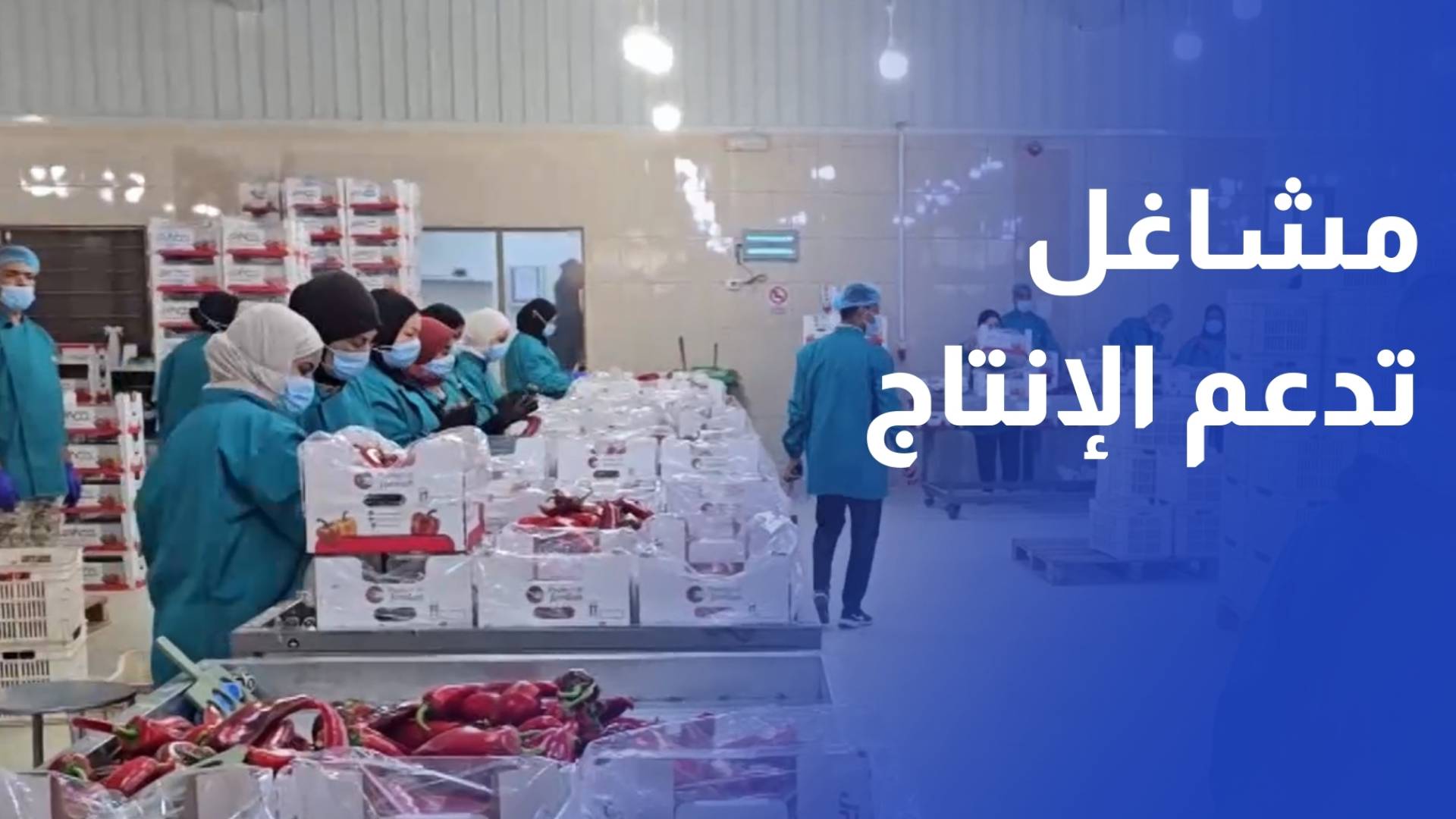 مشاغل زراعية تسهم في دعم التشغيل والاقتصاد المحلي في غور الأردن