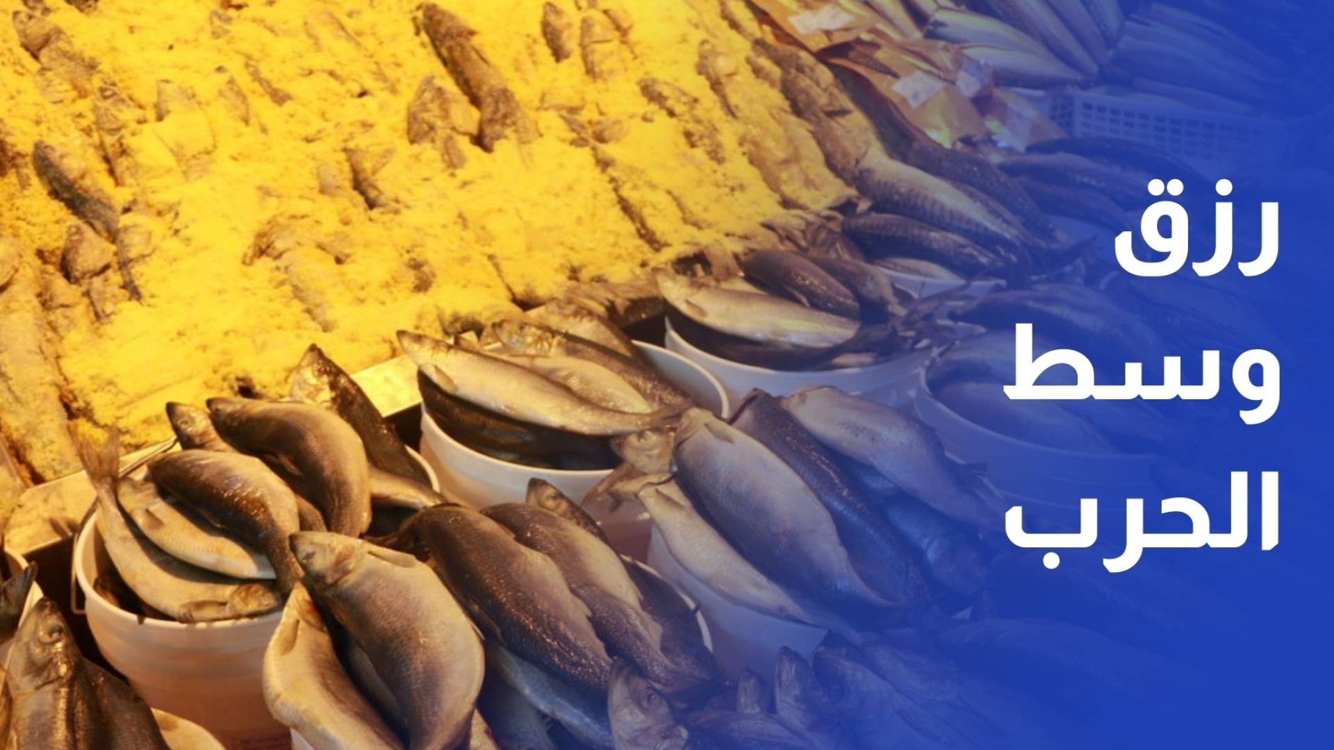 الفسيخ نكهة العيد في القطاع.. فرصة رزق لسيدة فقدت مصدر دخلها بالحرب