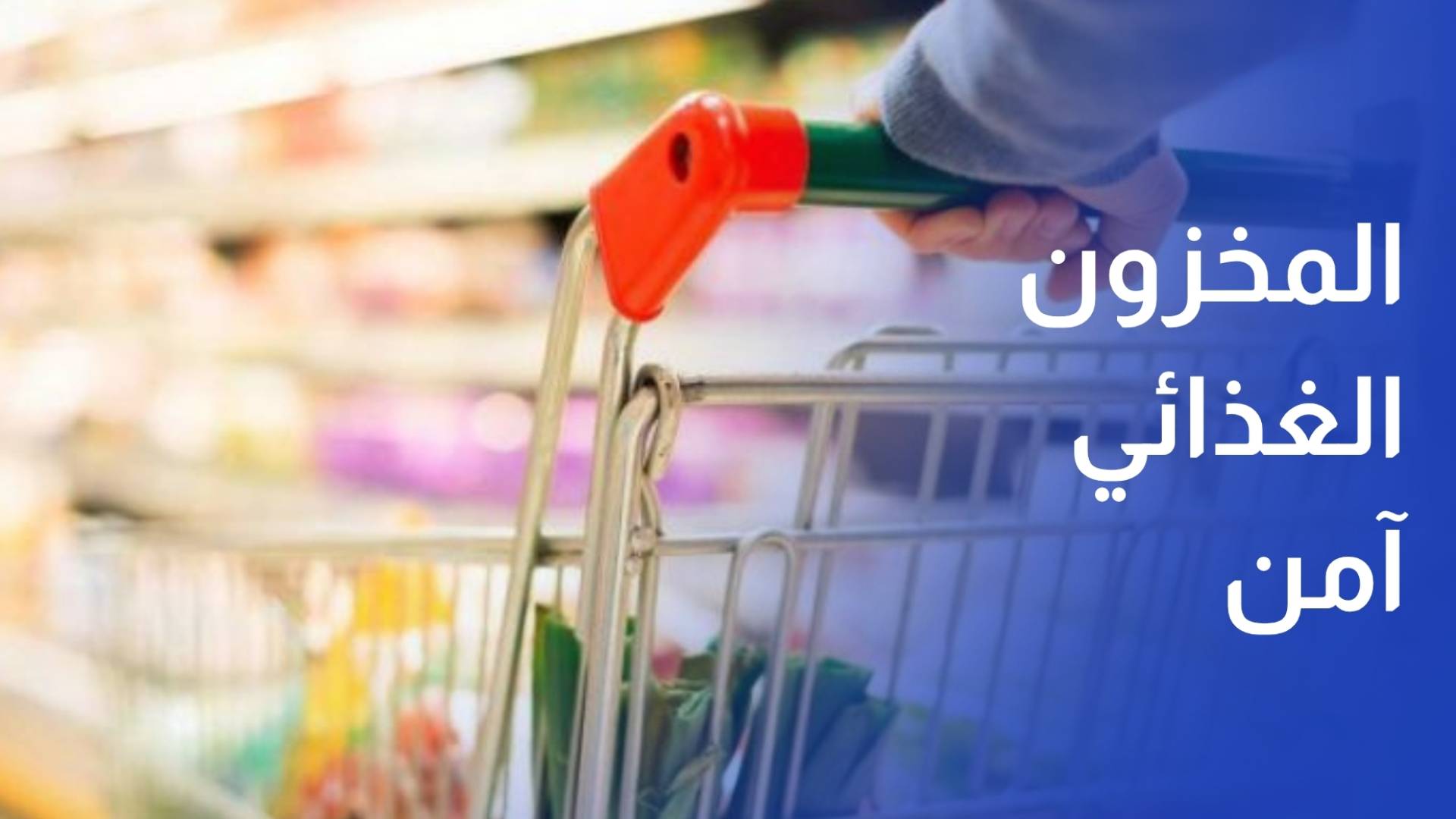 الحكومة: المخزون الغذائي آمن وسلاسل التوريد مستمرة  ولا مبرر للتهافت على السلع