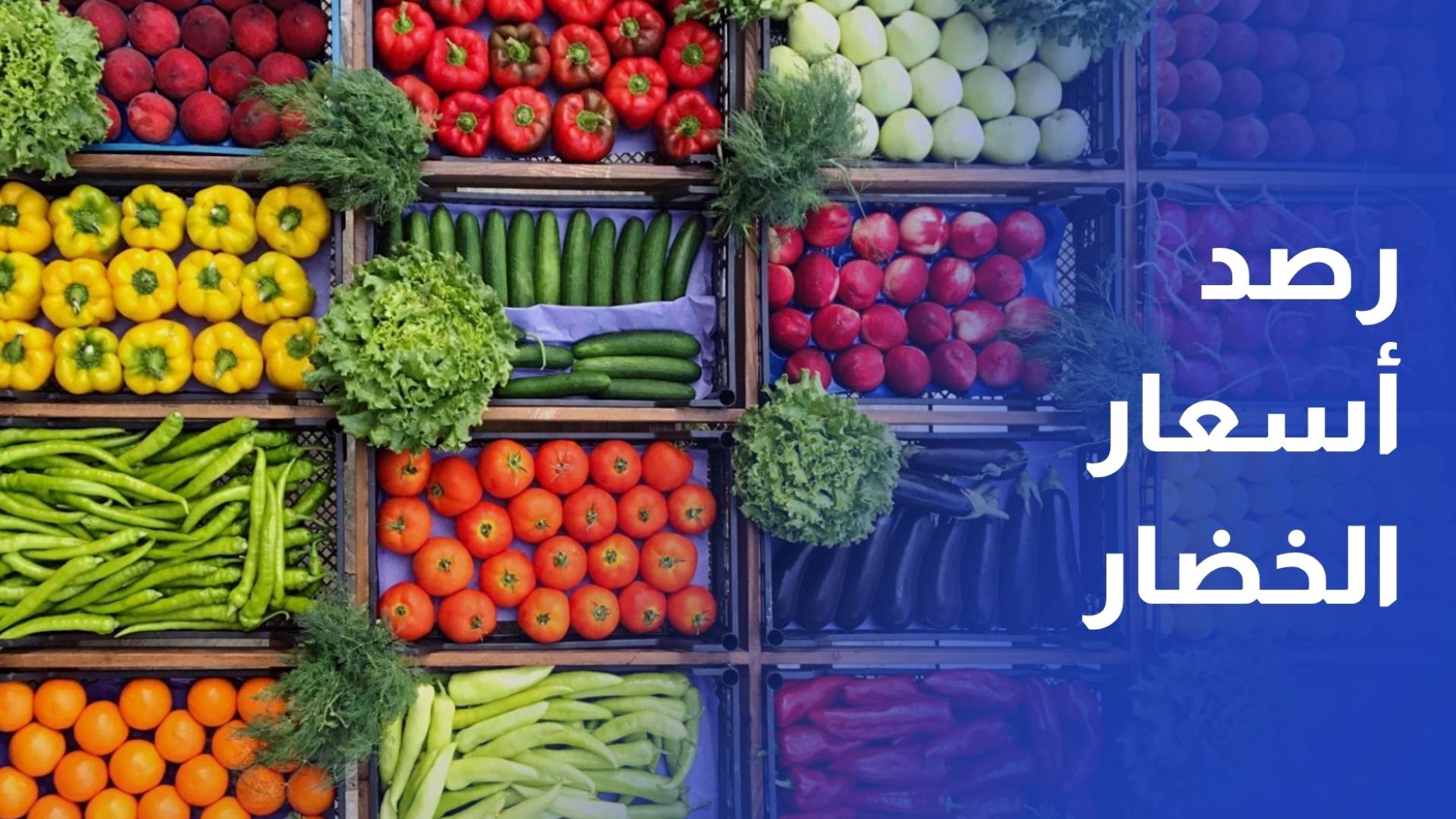 رصد أسعار الخضار والفواكه في سوق الزرقاء المركزي