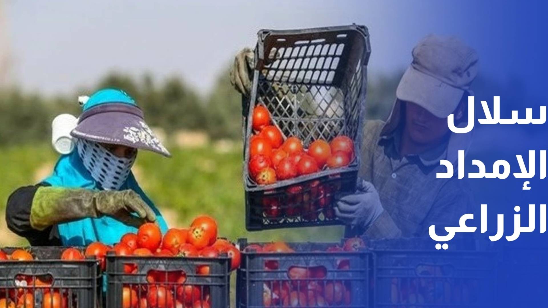 تتزايد الضغوط على سلاسل الإمداد وارتفاع كلف الشحن والإنتاج، مع دخول الحرب شهرها الثاني واستمرار تقييد مضيق هرمز.