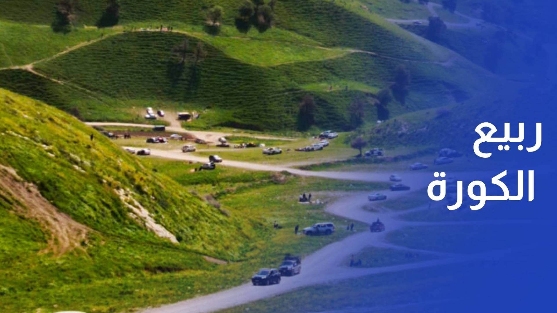 لواء الكورة بألوان الربيع.. مشهد خلاب وخدمات للزوار في وادي النمل وغابات برقش