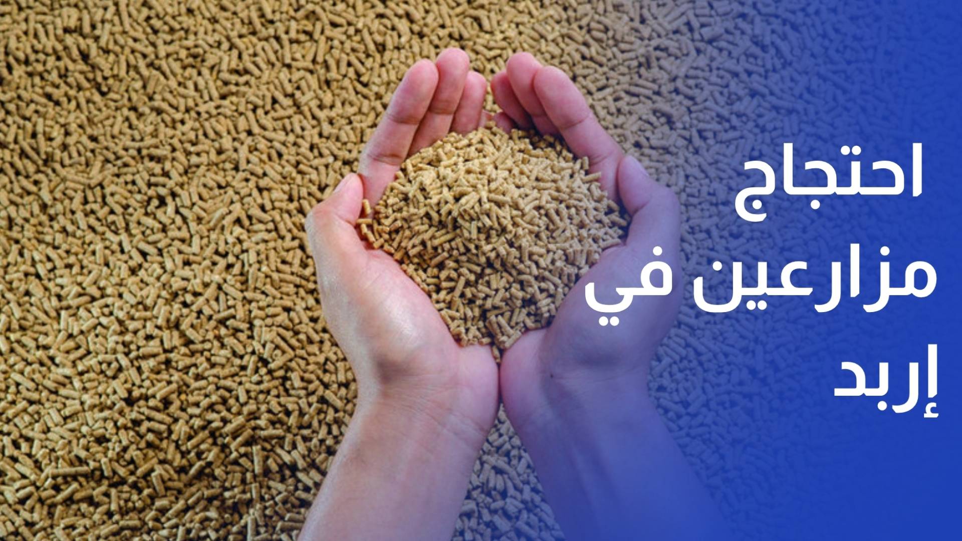 أعباء متزايدة وتكاليف أعلى.. احتجاج مزارعين في إربد على نظام الأعلاف الجديد