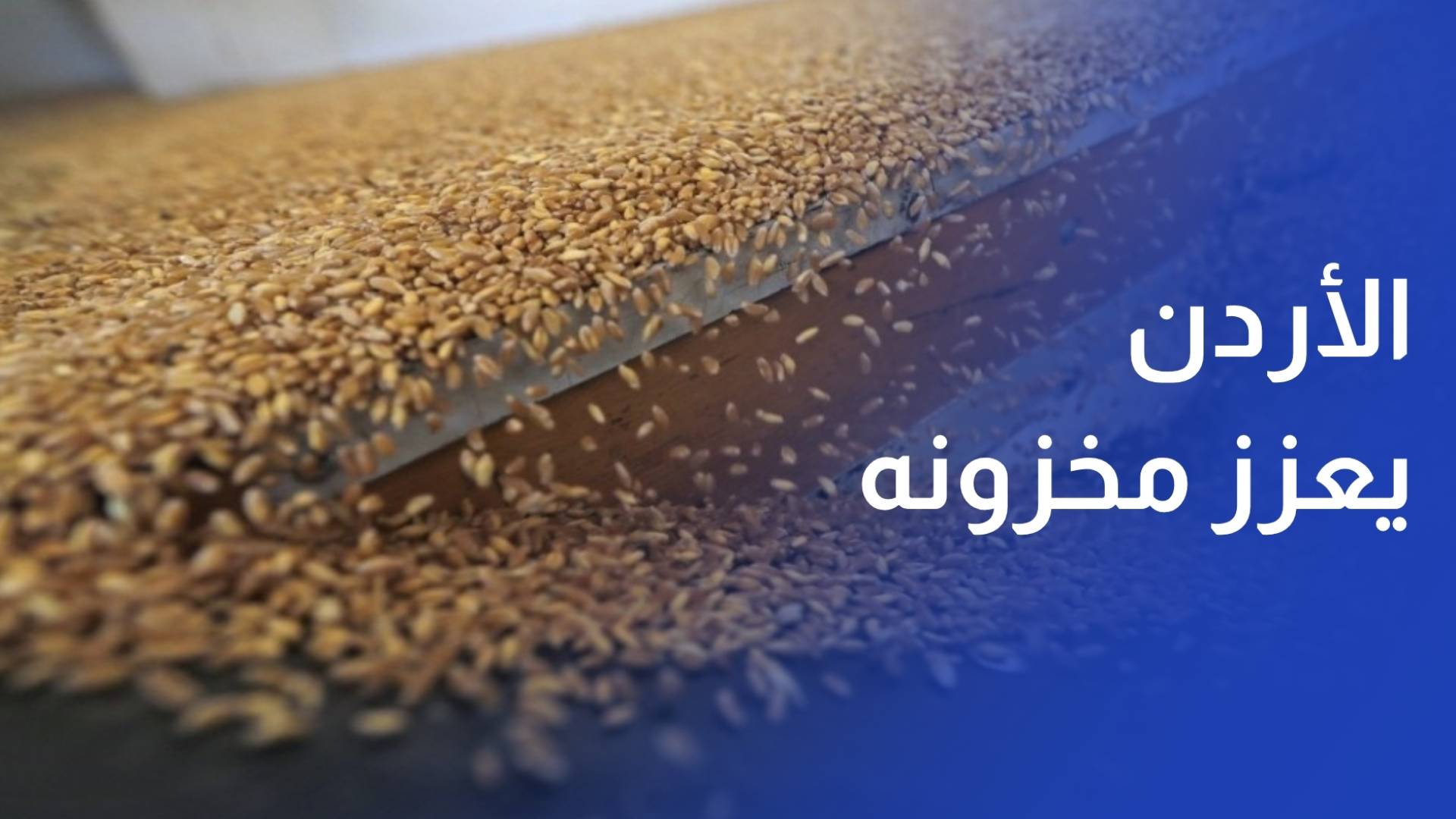الأردن يعزز مخزونه بشراء 60 ألف طن من القمح في مناقصة دولية