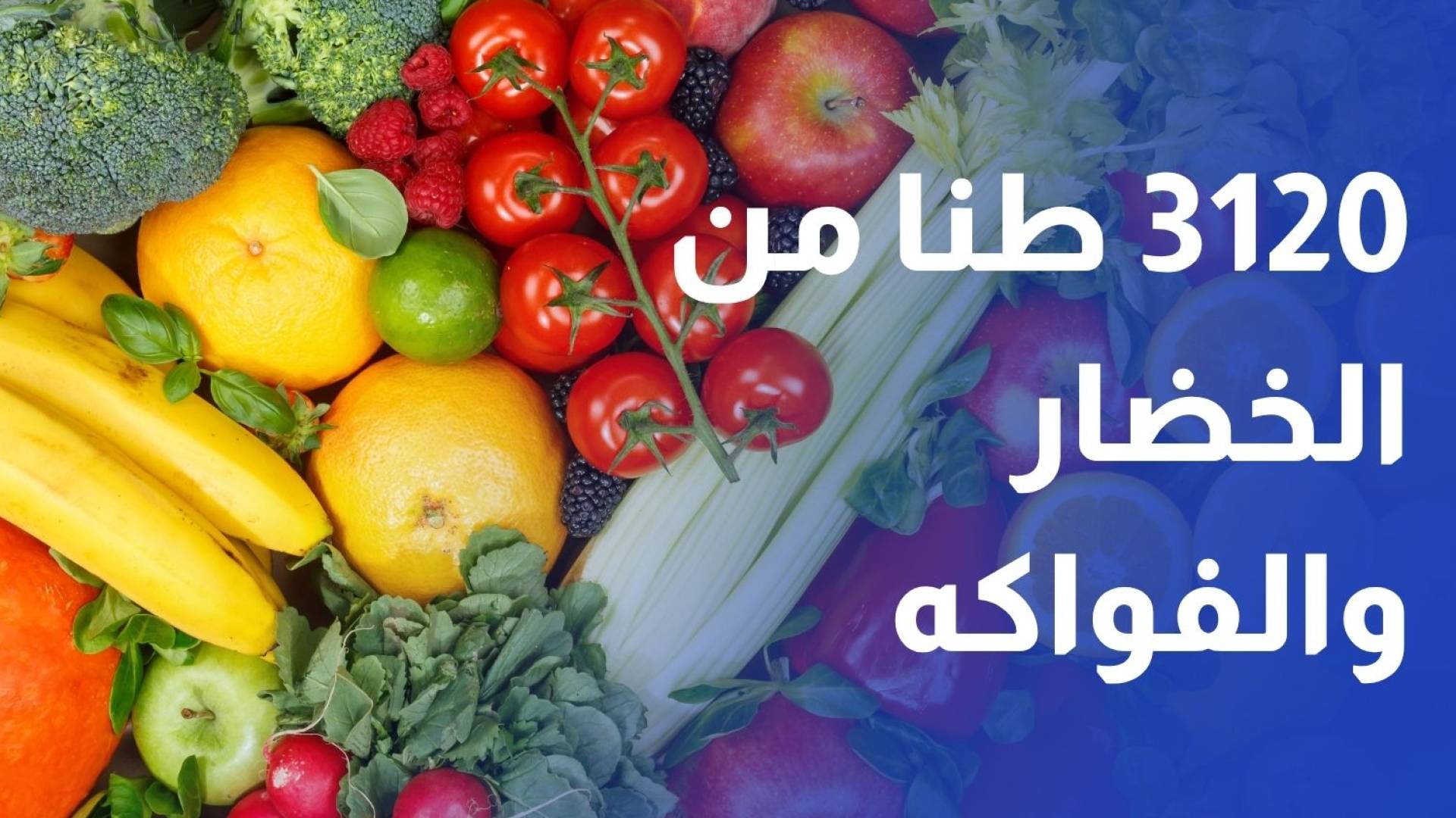 نحو 3120 طنا من الخضار والفواكه ترد إلى سوق الجملة التابع لأمانة عمان