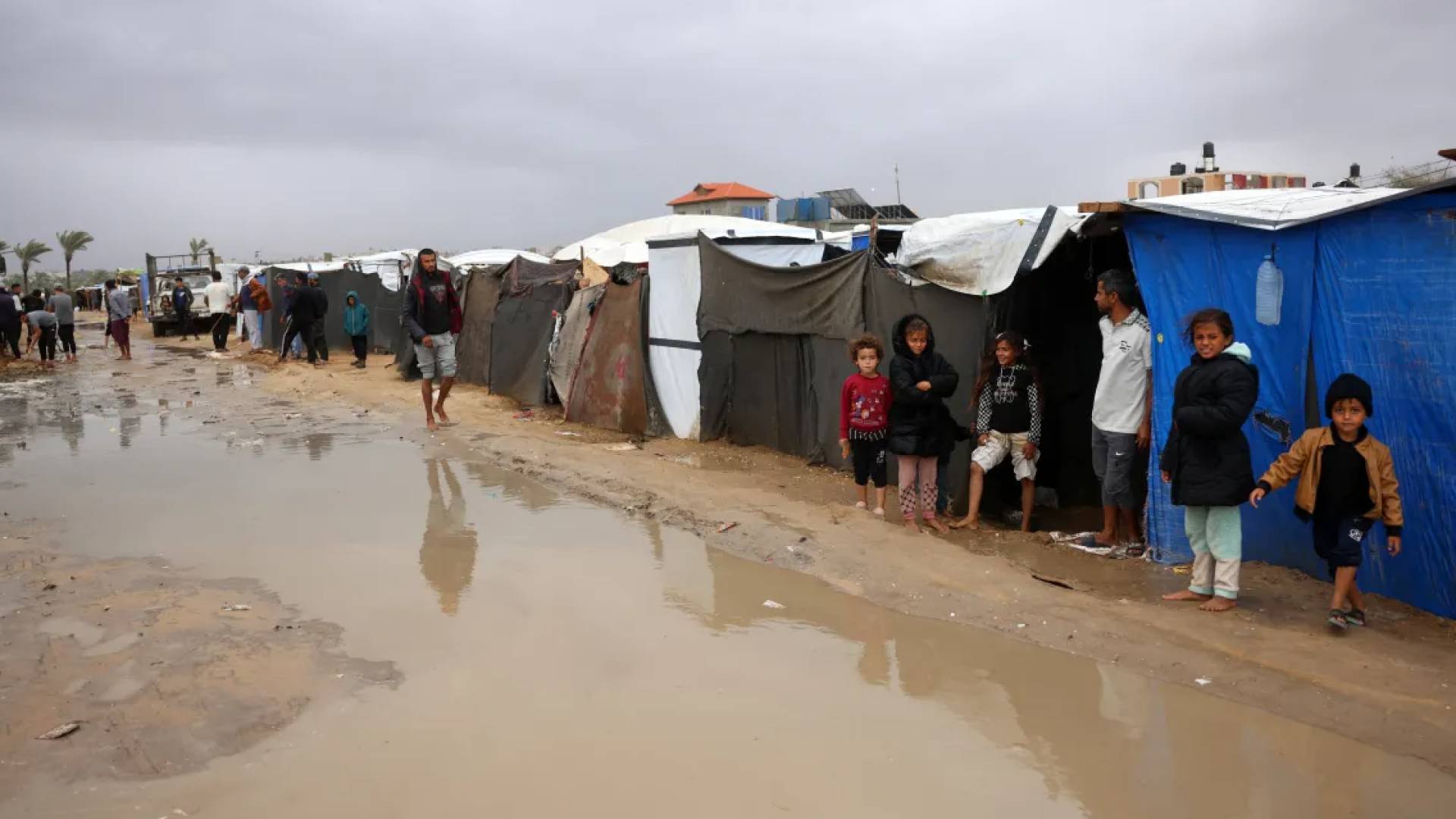 الحشرات والقوارض.. تهديد يومي يفاقم معاناة النازحين في الخيام