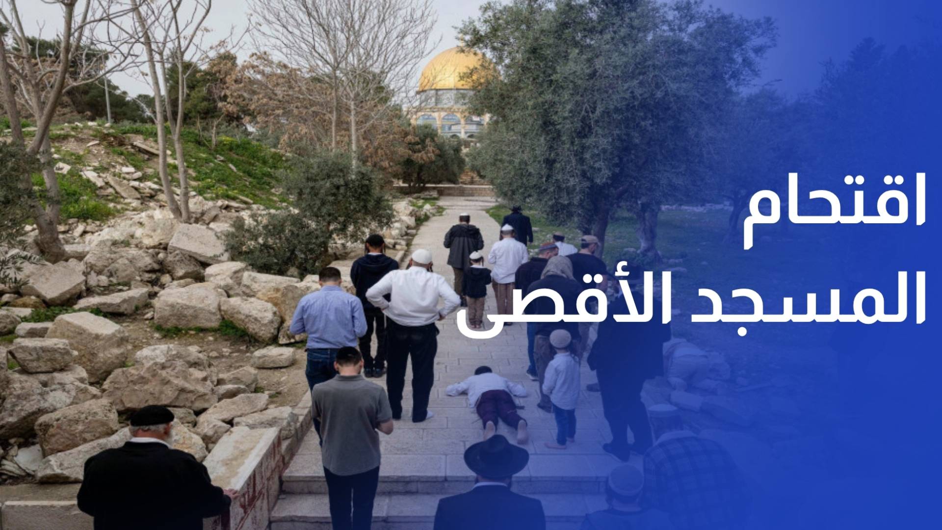 508 مستوطنين يقتحمون المسجد الأقصى ويؤدون طقوسا تلمودية