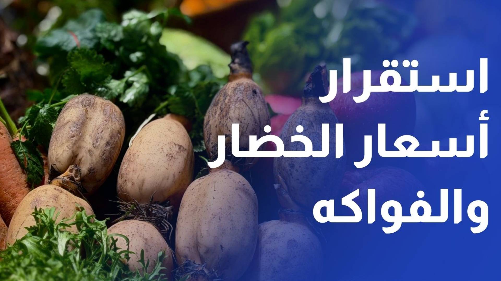 استقرار أسعار الخضار والفواكه في السوق المركزي