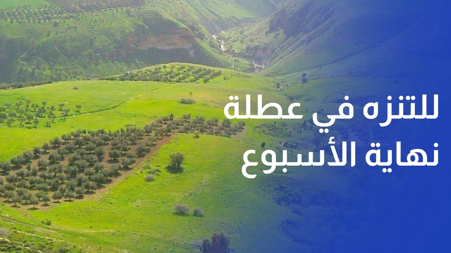 بدر وأبو السوس.. وجهة العائلات للتنزه في عطلة نهاية الأسبوع