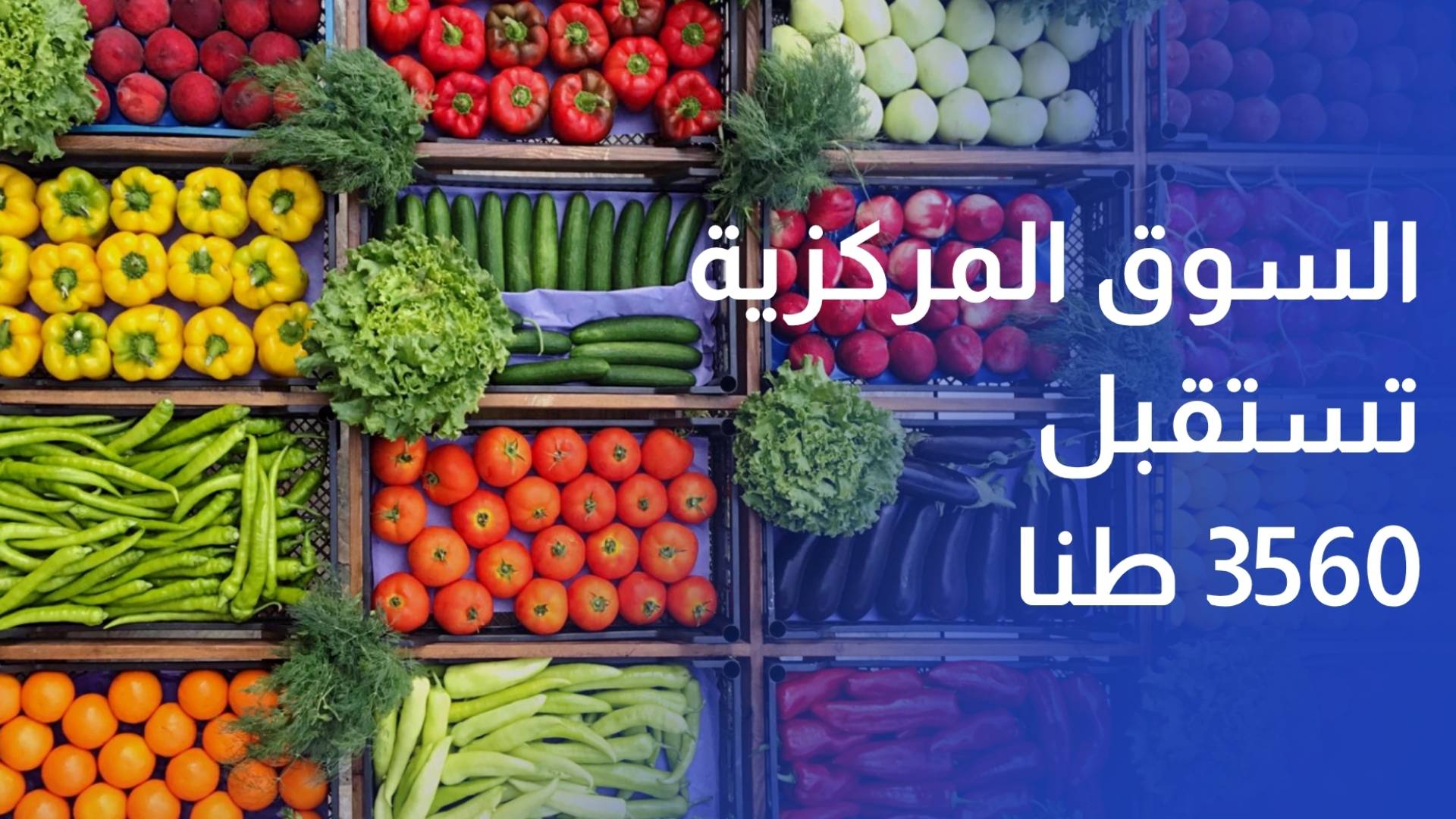 السوق المركزية تستقبل 3560 طنا من الخضار والفواكه وسط استقرار سعري