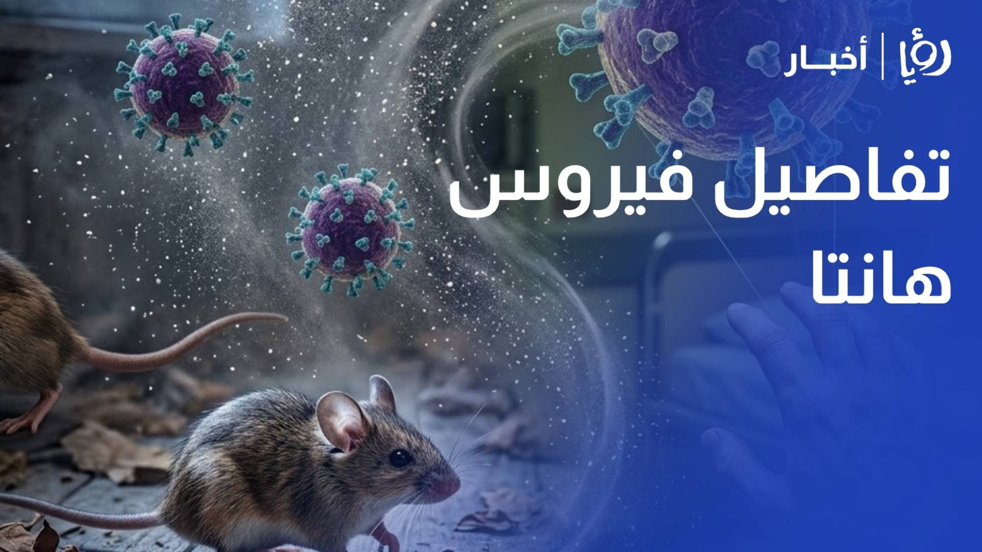 الدكتور محمد الطراونة يكشف تفاصيل فيروس هانتا: طرق الانتقال، الأعراض، ومدى خطورة تحوله لجائحة عالمية