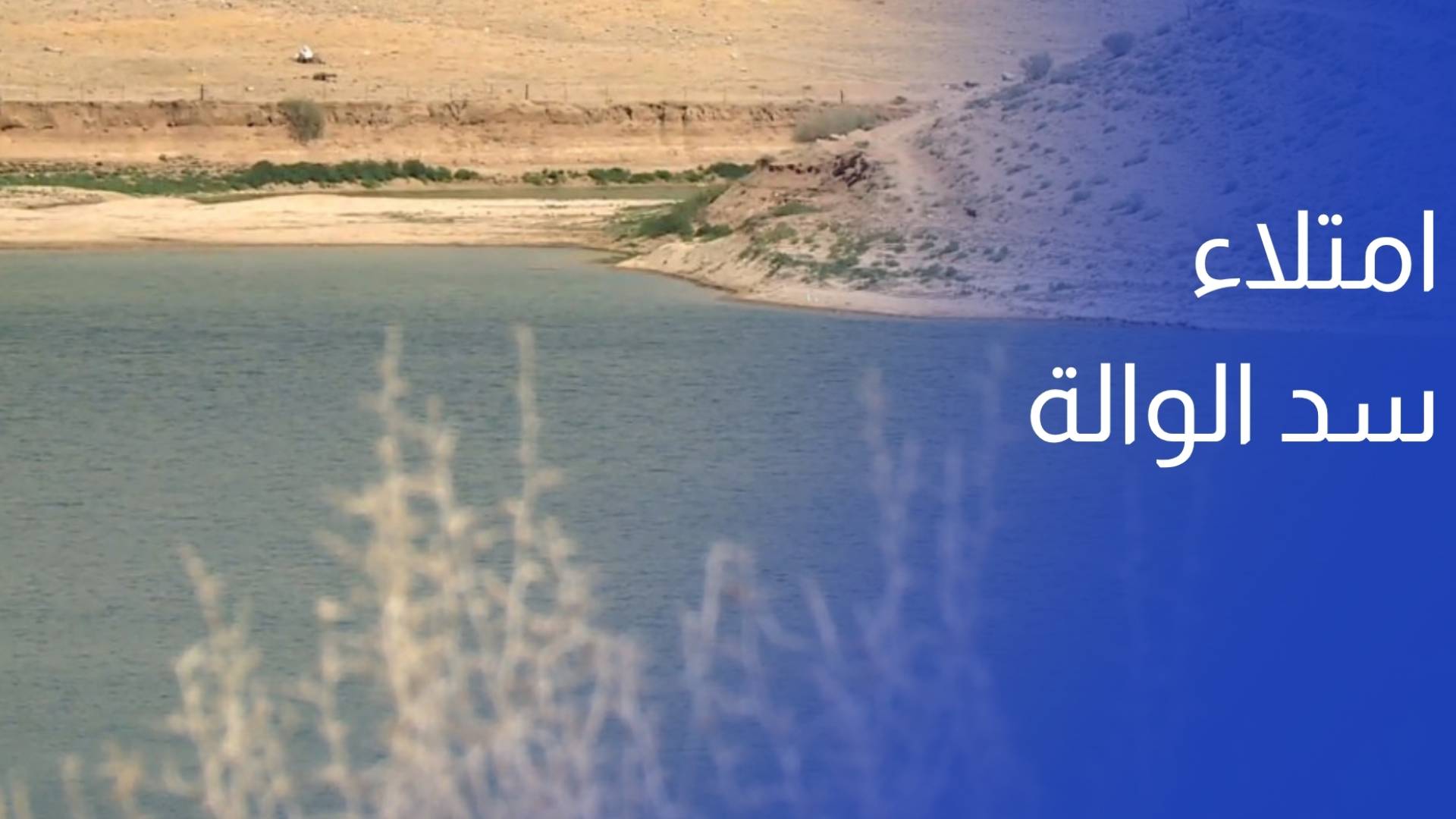 امتلاء سد الوالة يعيد الحياة للوادي والينابيع المجاورة